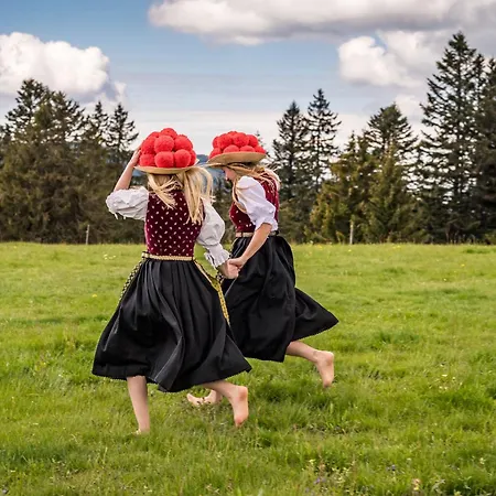 Black Forest Living, Todtnauberg, Feldberg شقة *