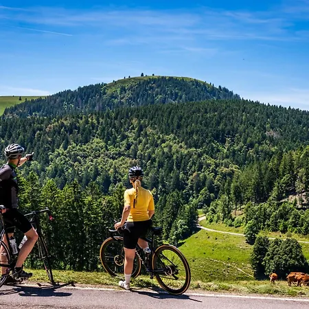 Black Forest Living, Todtnauberg, Feldberg شقة *