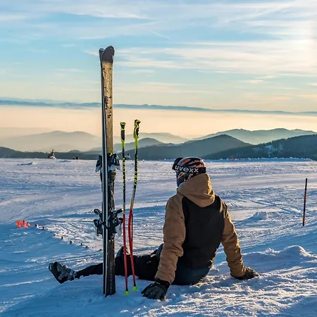 Apartment Black Forest Living, Todtnauberg, Feldberg Todtnau