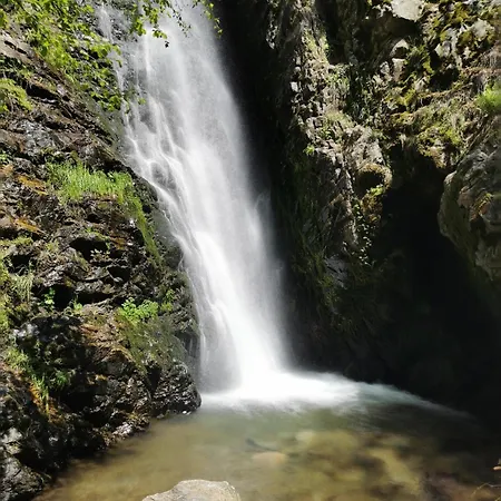 Black Forest Living, Todtnauberg, Feldberg Apartment Todtnau