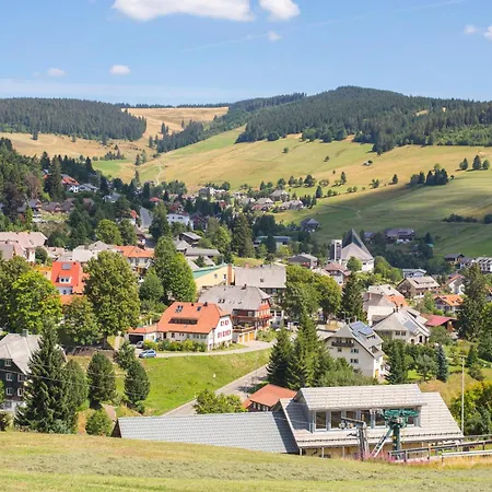 Black Forest Living, Todtnauberg, Feldberg Apartment Todtnau